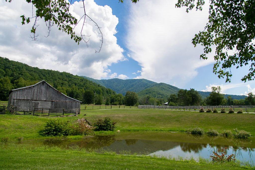 Bride and groom at their elegant Blue Ridge Mountain wedding at Stoneyman Valley Ranch – romantic sunset portraits, adventurous love, and breathtaking views.