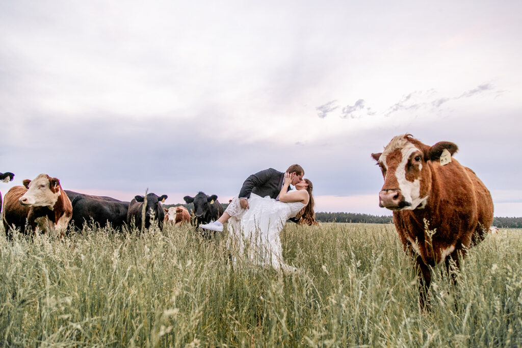 Romantic spring wedding at Oak Creek Farm in Virginia – candid moments, joyful celebrations, and golden hour portraits of a Virginia Bride and Groom, featuring rustic elegance and countryside charm.