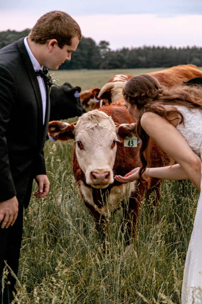 Romantic spring wedding at Oak Creek Farm in Virginia – candid moments, joyful celebrations, and golden hour portraits of a Virginia Bride and Groom, featuring rustic elegance and countryside charm.