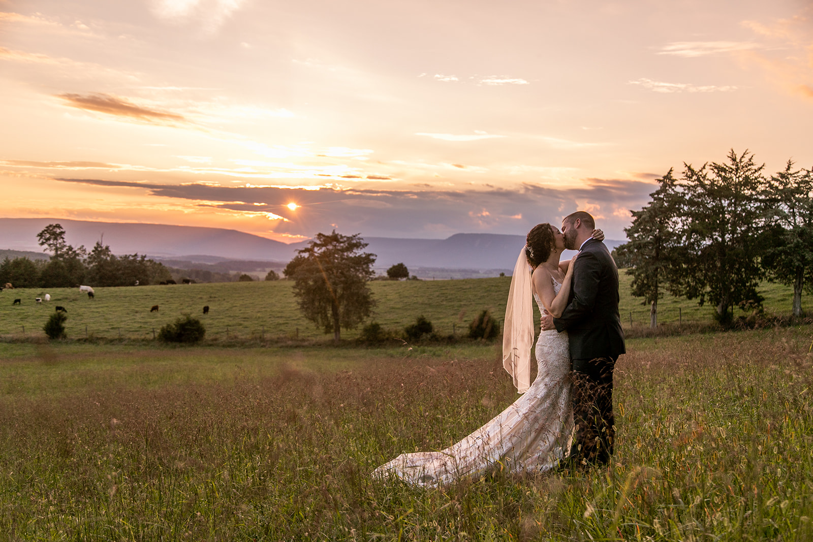 Elegant and adventurous mountain wedding at Stoneyman Valley Ranch – bride and groom portraits with Blue Ridge Mountain views, joyful first look, fun bridal party moments, and stunning sunset photos atop Little Stoneyman Overlook.