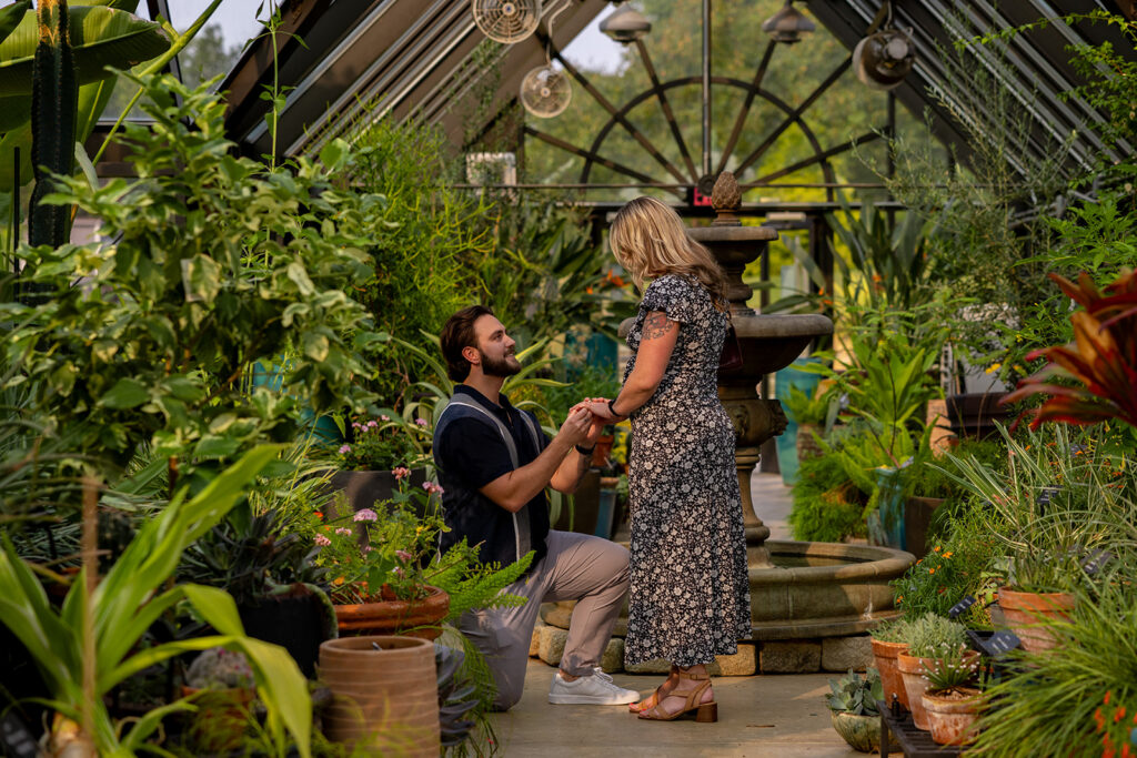 Romantic surprise proposal in a DC area botanical garden greenhouse, featuring an intentional engagement moment surrounded by greenery and natural light