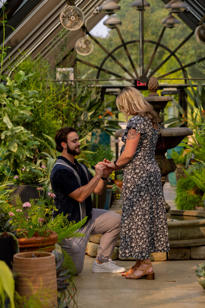 Man proposing on one knee inside a lush greenhouse in the DC area during a planned surprise proposal, beautifully photographed by a DC proposal photographer