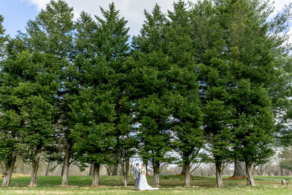 First look wedding photos at The Woodlands at Algonkian by evergreen trees