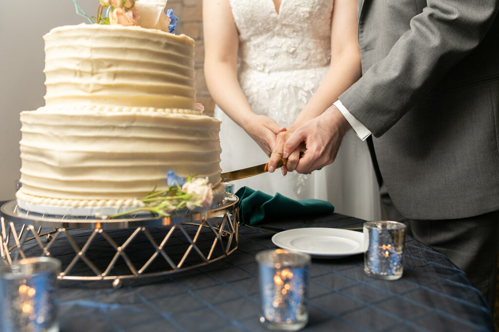Cake cutting moment during wedding reception